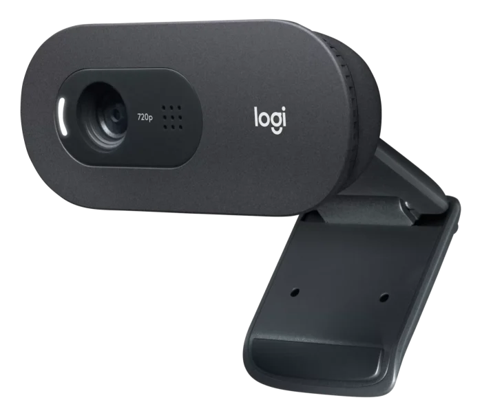 Logitech C505e Webcam